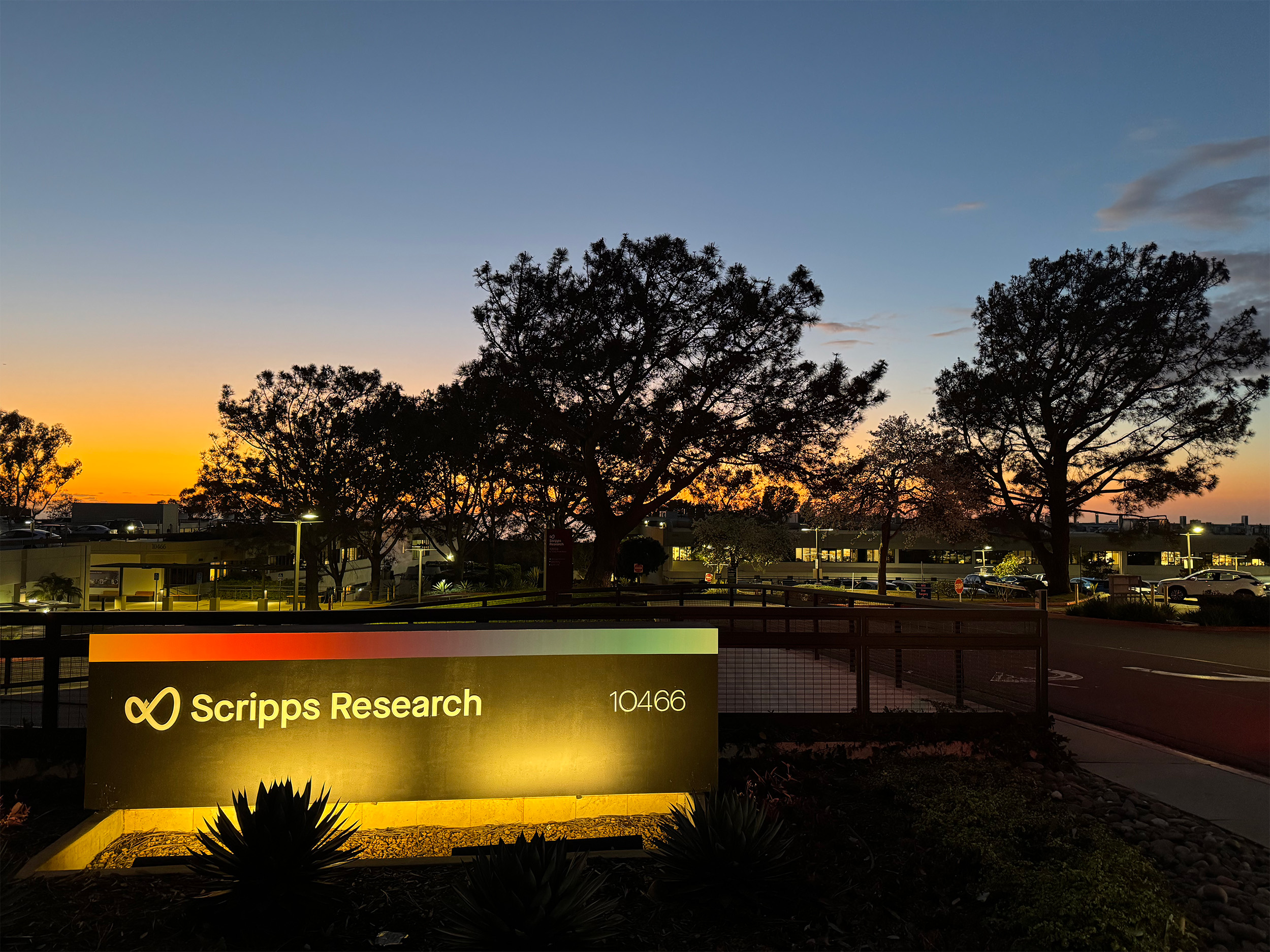  夕暮れ時のScripps Research 